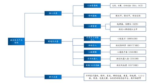 拆家哪家強？上海張江找微創——解碼醫療器械龍頭的市場突圍之路